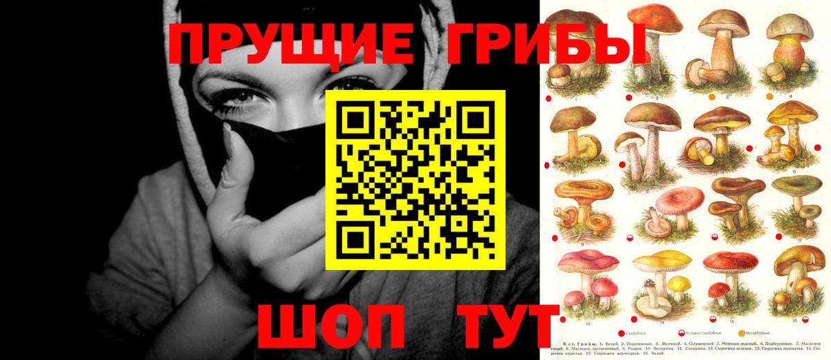 Галлюциногенные грибы ЛСД Арсеньев