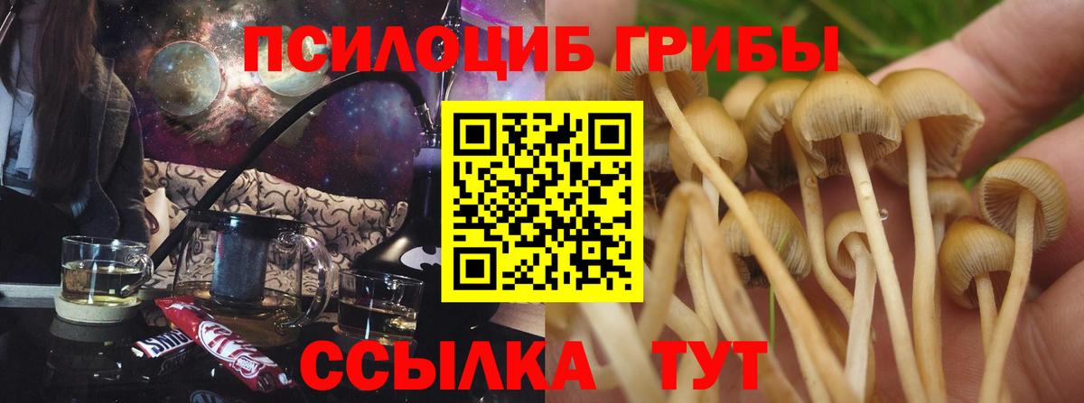 Арсеньев  Псилоцибиновые грибы GOLDEN TEACHER  Вход с VPN  Псилоцибиновые грибы прущие грибы 